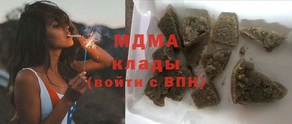 прущие грибы Бердск