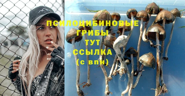 mdma Краснослободск