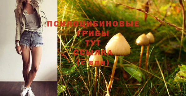 mdma Краснослободск
