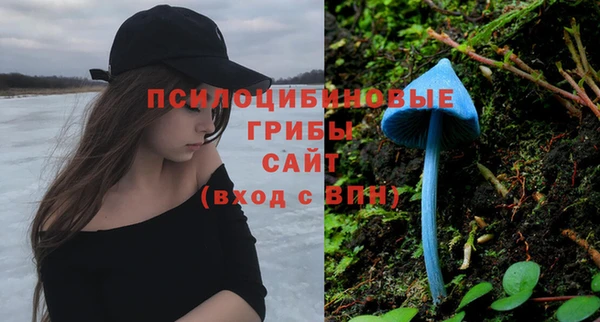 дмт Краснотурьинск