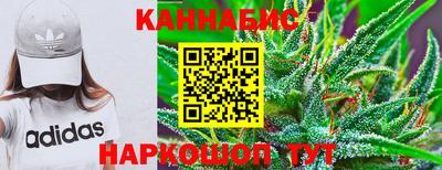 гидропоника Камышлов