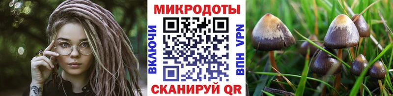 Галлюциногенные грибы GOLDEN TEACHER  Кропоткин 
