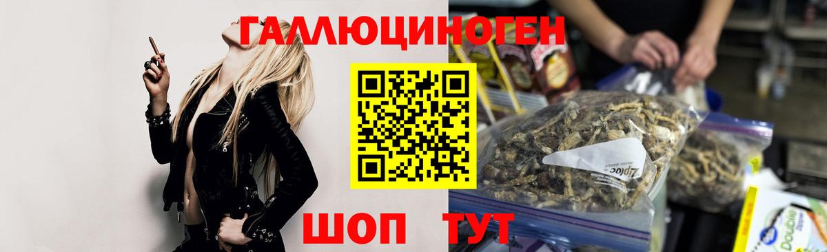Галлюциногенные грибы MAGIC MUSHROOMS  Вход с VPN  Кропоткин  Псилоцибиновые грибы прущие грибы 